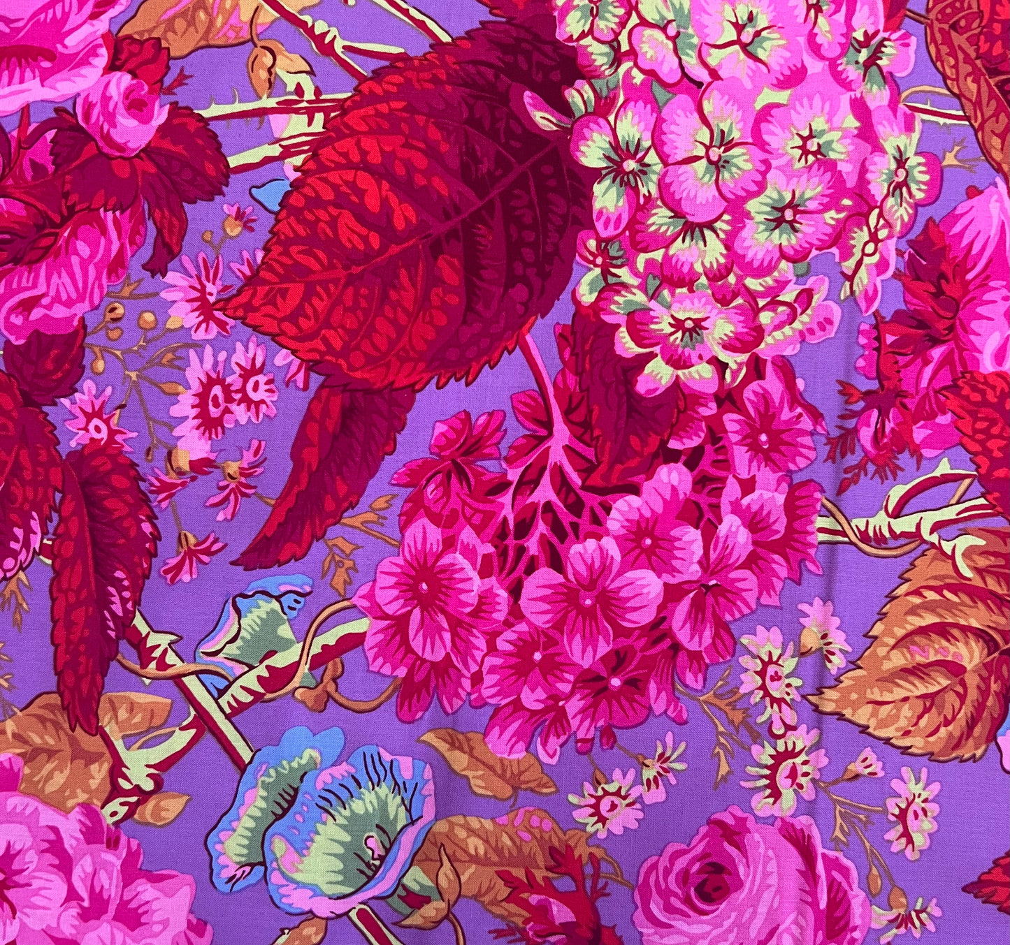 Rose & Hydrangea PWPJ097.HOT