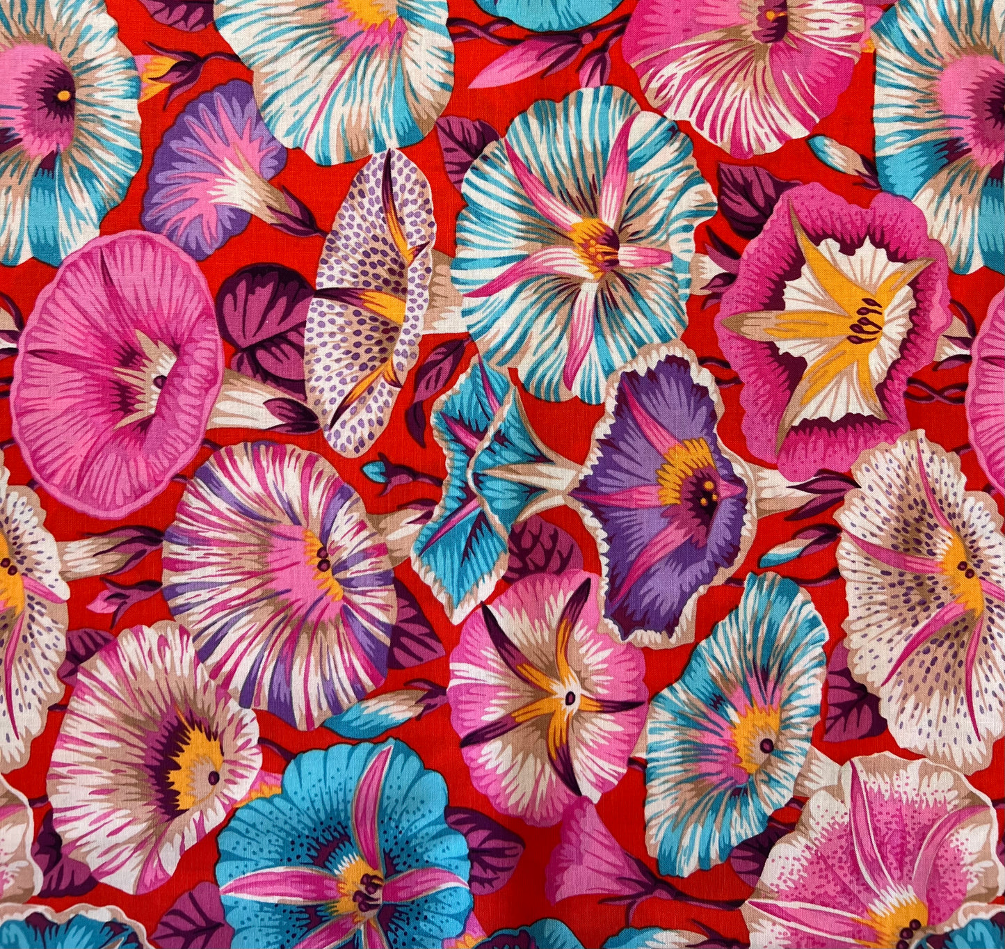 Variegated Morning Glory PWPJ098.RED