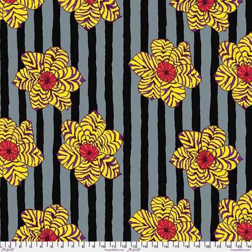 Zebra Lily - PWBM091.Black || August 2023