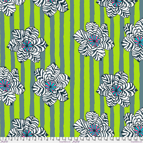 Zebra Lily - PWBM091.Green || August 2023