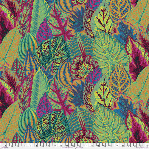 Coleus - PWPJ030.Moss || Stash