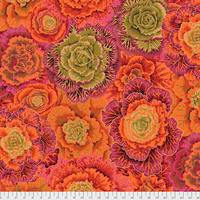 Brassica - PWPJ051.RUSTX || Classics