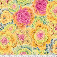 Brassica - PWPJ051.YELLOW || Classics