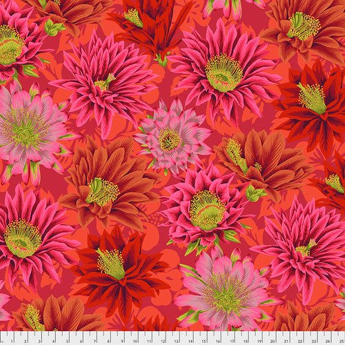 Cactus Flower - PWPJ096.RED || Classics