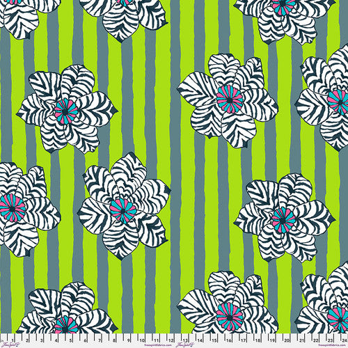 Zebra Lily - PWBM091.Green || August 2023