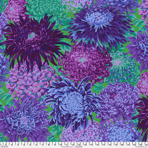 Japanese Chrysanthemum - PWPJ041.Purple || Classics