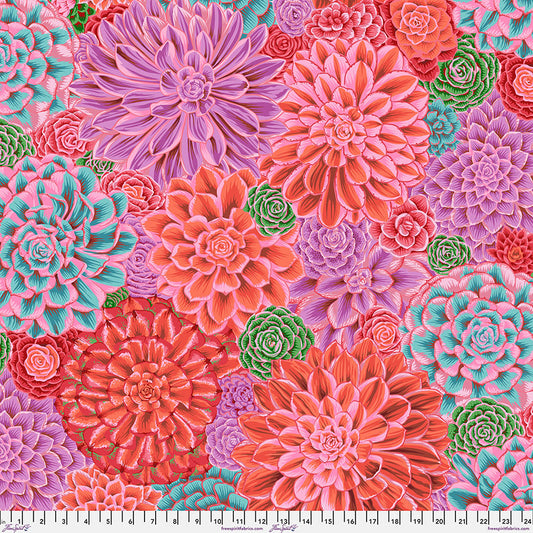 House Leeks - PWPJ113.Pink || February 2025