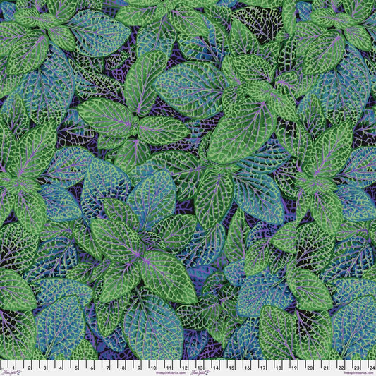 Fittonia - PWPJ129.Green || August 2024