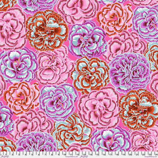 PRE-ORDER - Picotee Carnations - PWPJ133.Pink || August 2025